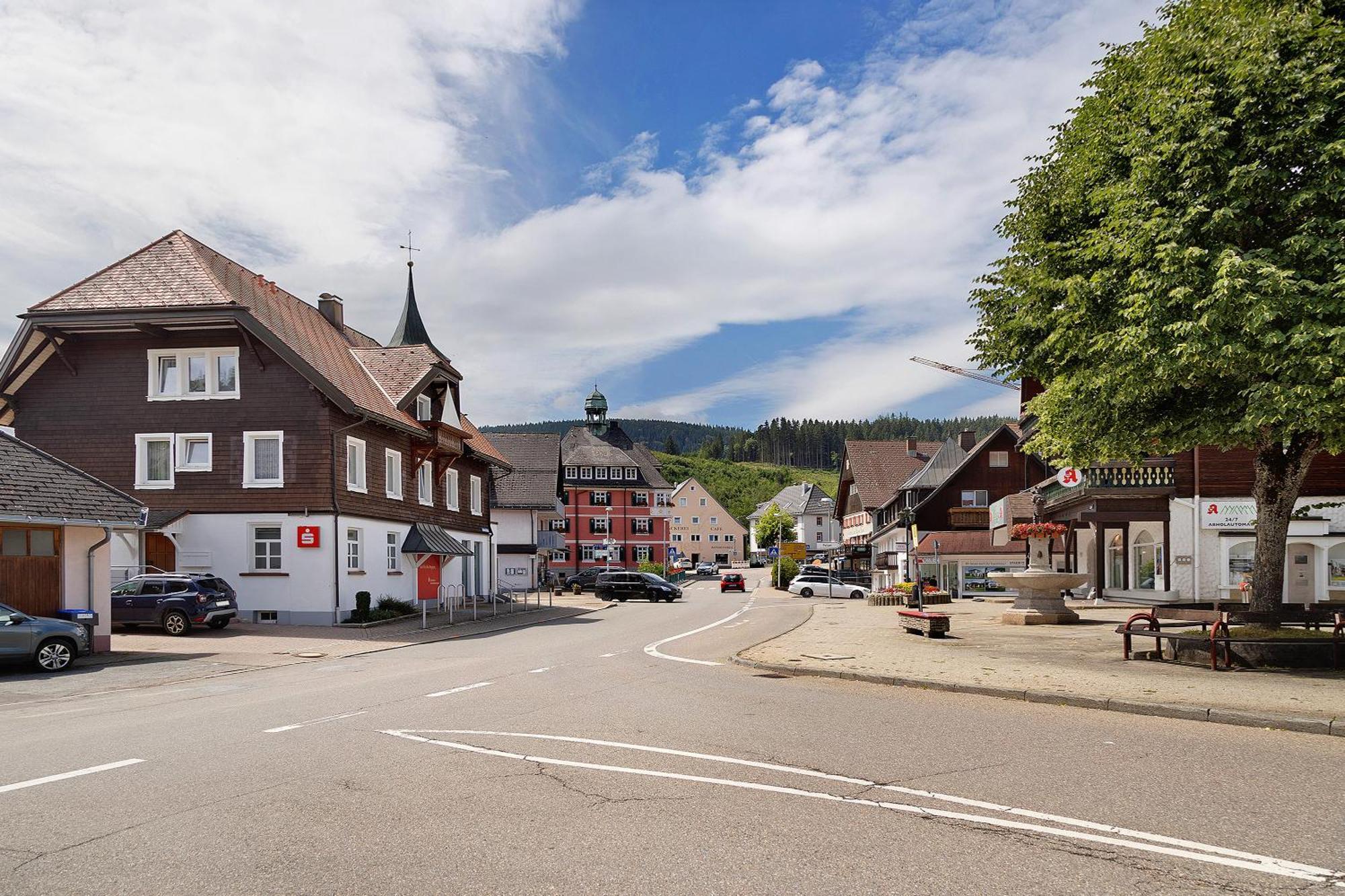 Sonnenblick Apartment Lenzkirch Bagian luar foto